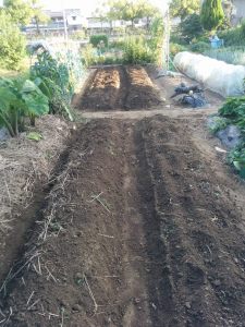 11934937_912295385503966_6369765245607752887_n