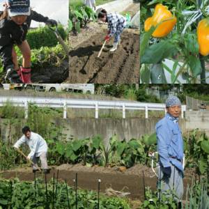 12009825_925873110812860_12032892061637414_n